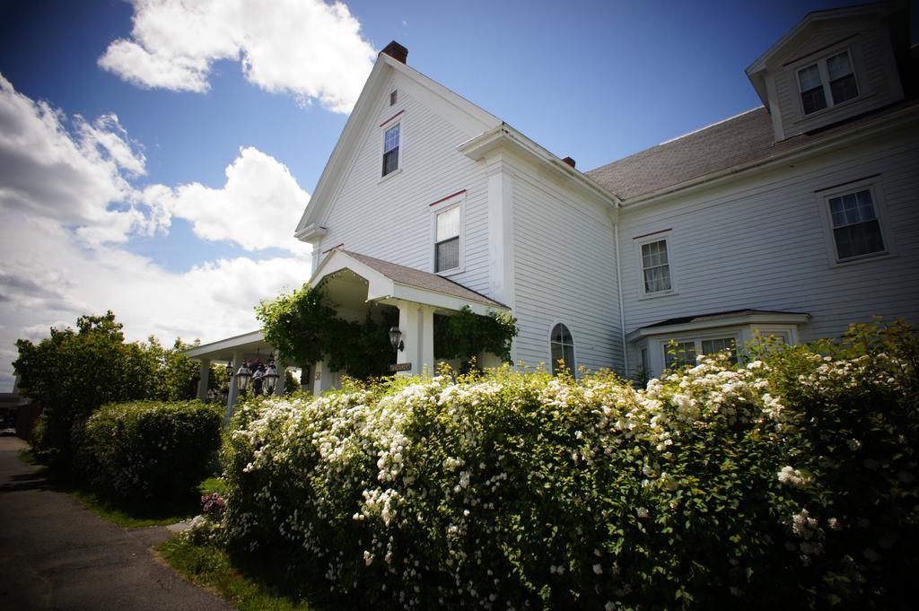 Inn On Frederick St. Andrews By The Sea Exteriör bild